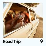 poster Into Cotton Road Trip