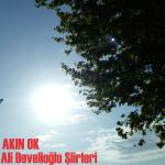 poster Ali Develioğlu Şiirleri Ali Develioğlu Şiirleri