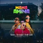 poster Mama Amina Mama Amina