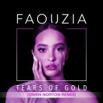 poster Tears of Gold (Owen Norton Remix) Tears of Gold