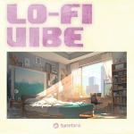 poster 90s Urban Hip Hop Lo-Fi Vibe