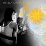 poster The Great American Napkin (OST Disturbia/Паранойя) A Good Day