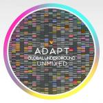 poster Innerbloom (H.O.S.H. Remix Dub) Global Underground: Adapt/Unmixed