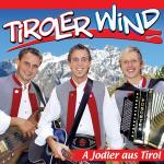 poster Tirol isch lai oans A Jodler aus Tirol