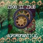 poster MEGAMIX # 32 - DISCO 90-2000 Agroromantica