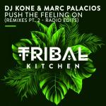 poster Push the Feeling On (DJ Blackstone Radio Edit) Push the Feeling On (Remixes Pt. 2 - Radio Edits)