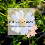 poster Mollifying Mindful Melodies Shine Like A Star - Spa Music For Oil Massage And Inner Peace