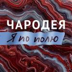 poster Я по полю Я по полю