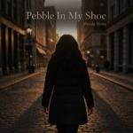 poster Pebble In My Shoe Pebble In My Shoe