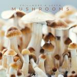 poster Mushrooms Mushrooms