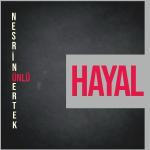 poster Hayal Hayal