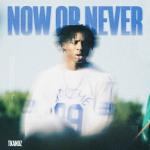 poster NOW OR NEVER - Ultra Slowed NOW OR NEVER