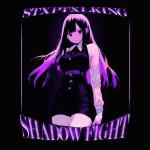 poster SHADOW FIGHT SHADOW FIGHT