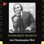 poster Səni Unutmaqdan Ötrü Səni Unutmaqdan Ötrü