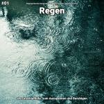 poster Regen, pt. 21 #01 Regen als Einschlafhilfe, zum Ausspannen und Beruhigen
