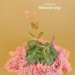 poster Miracle Way Miracle Way
