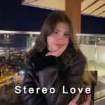 poster Stereo Love Stereo Love