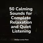 poster Restful Rhapsody 50 Calming Sounds for Complete Relaxation and Quiet Listening