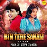 poster Bin Tere Sanam (Remix) Bin Tere Sanam (Remix)