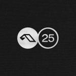 poster Come Together (Extended Mix) Anjuna25