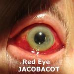 poster Beatbox Red Eye