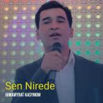 poster Sen Nirede Sen Nirede