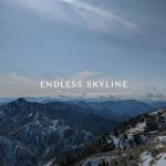 poster Endless skyline Endless skyline