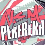 poster Vem Pere Reka - Super Slowed Vem Pere Reka