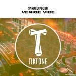 poster Venice Vibe Venice Vibe