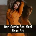 poster Atıb Getdin Sen Meni Atıb Getdin Sen Meni