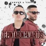 poster Te Pintaron Pajaritos Te Pintaron Pajaritos