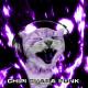 blxxddragxn ★ - CHIPI CHAPA FUNK