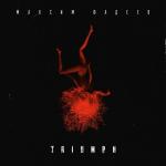poster Я не верю твоим глазам (Remix DJ Kok) Triumph