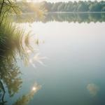 poster Glare Water