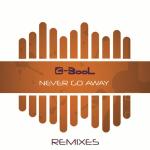 poster Never Go Away - Extended Mix