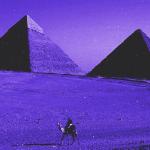 poster Camel by Camel but It's Lofi Chillhop (Tiktok Zone Ankha)