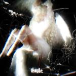 poster EXILE